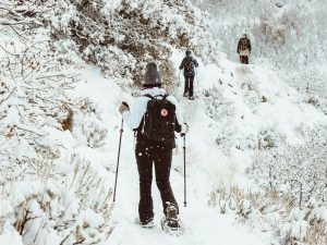 Fiat Snowshoe